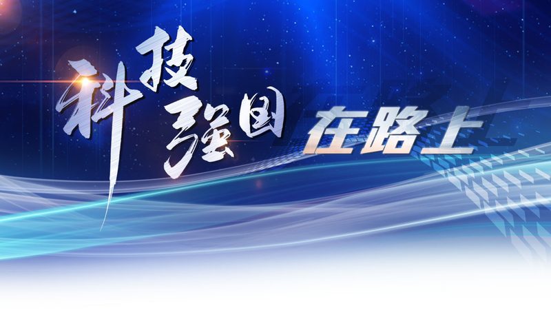 外贸CRM SaaS平台的价格并非一成不变，其构成因素主要包括：